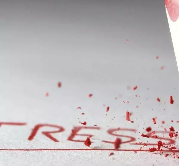 Stress e distress