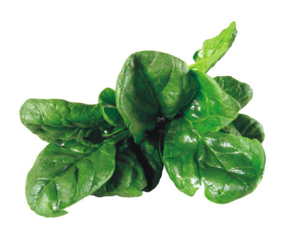spinaci verdura di stagione