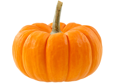 zucca