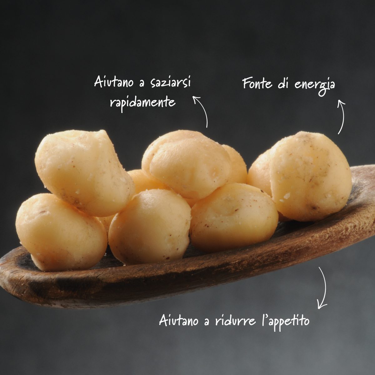 Dettagli noci di macadamia